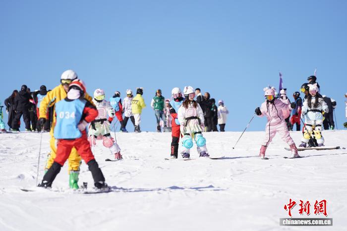哈尔滨政协委员推动冰雪运动发展 构建赛事体系